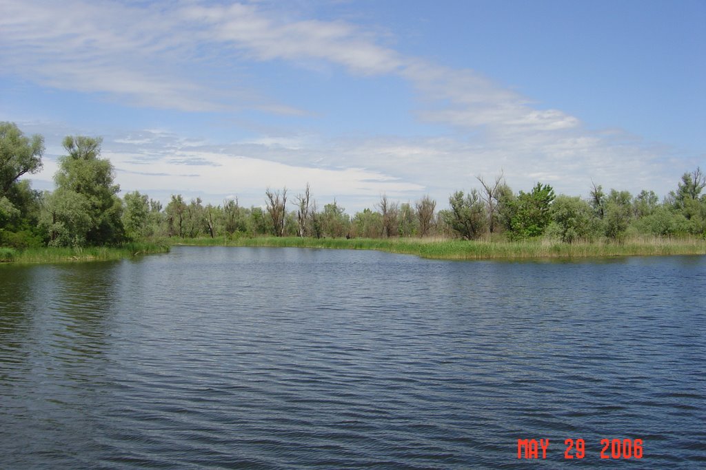 Ul. T. Shevchenkо, 61, Kardashynka, Khersons'ka oblast, Ukraine, 75611 by slava001