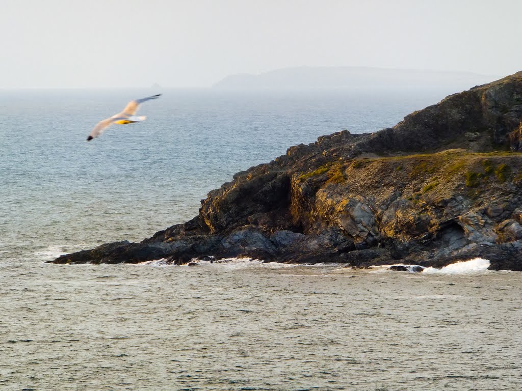 View From The Bowgie Inn - West Pentire, Crantock, Newquay. by David Booth