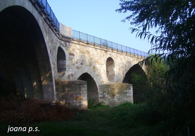 DEBAJO DEL PUENTE by joana_ps