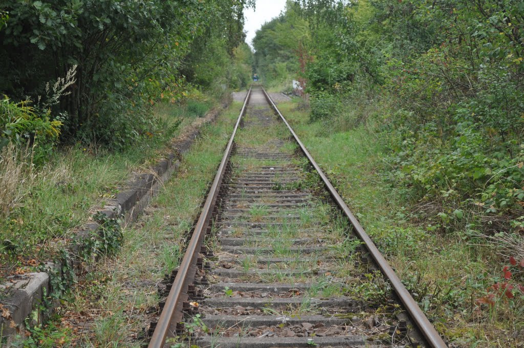 Ehemalige Eisenbahnlinie Germersheim-Landau bei Lustadt von Siegfried Kremer by Siegfried Kremer Philippsburg