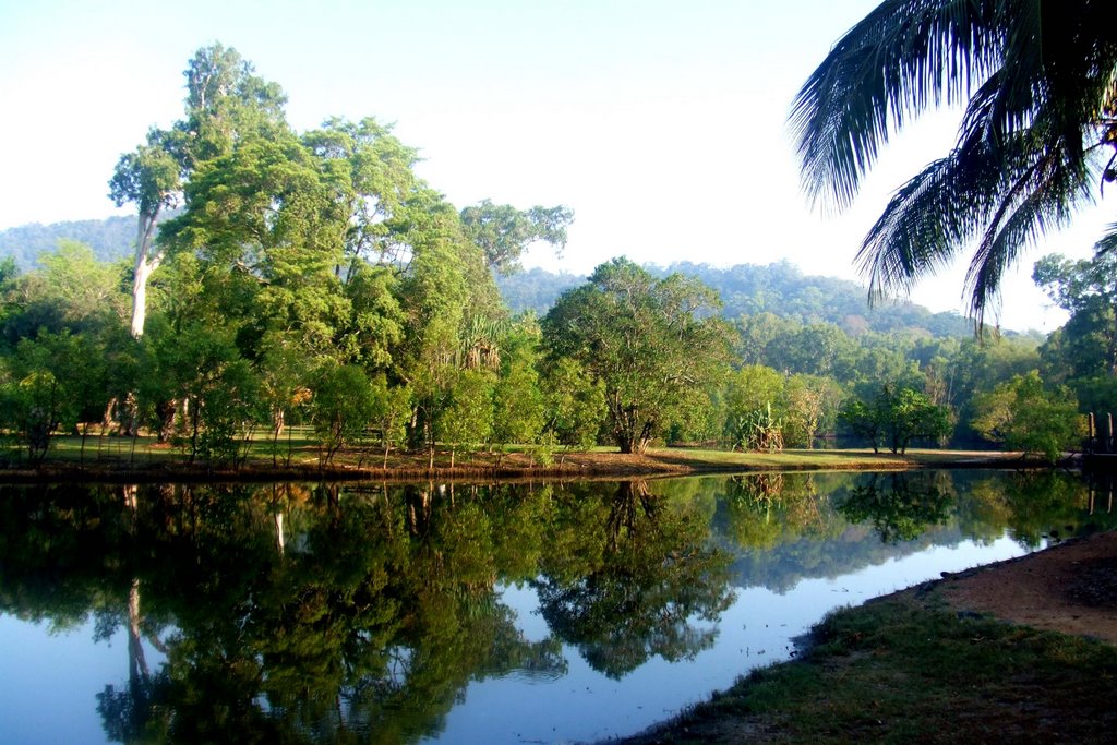 Centenary Lakes - Cairns, North Qld by nipper30