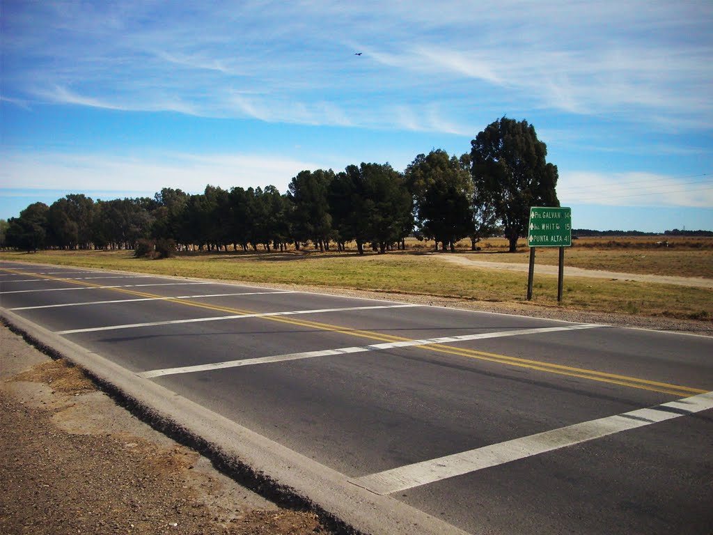 Camino Sesquicentenario by Daksen