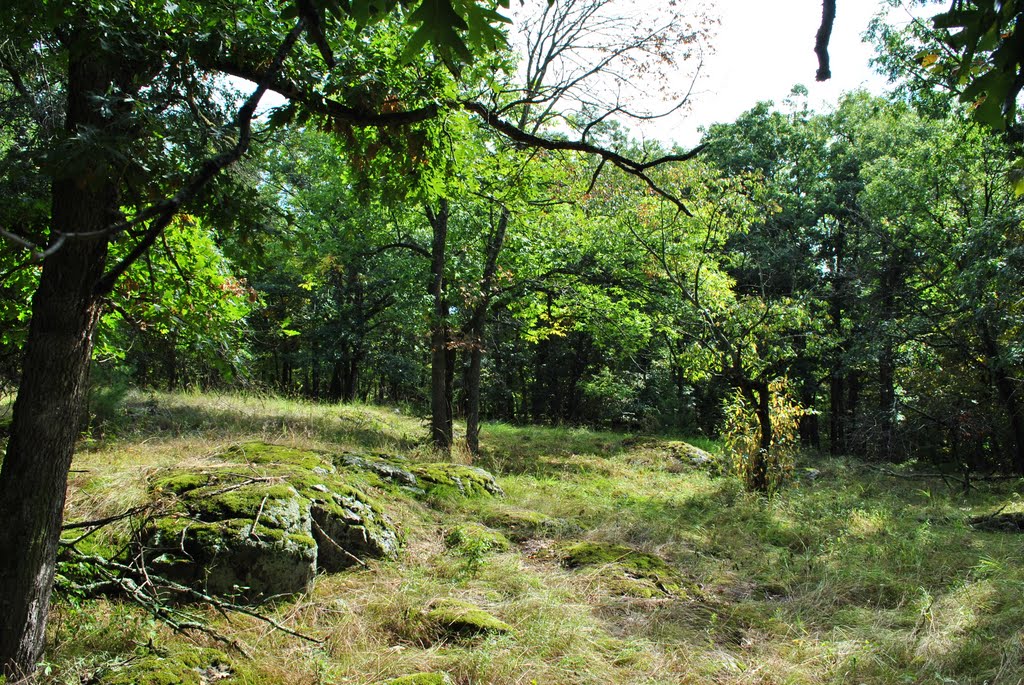 Osceola Bedrock Glades State Natural Area, WI by Aaron Carlson