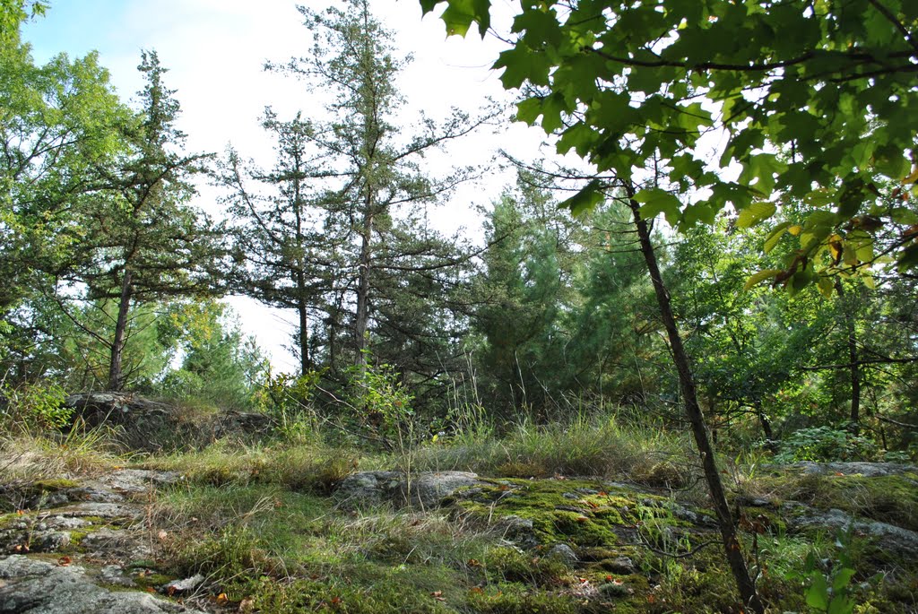 Interstate State Park, WI by Aaron Carlson