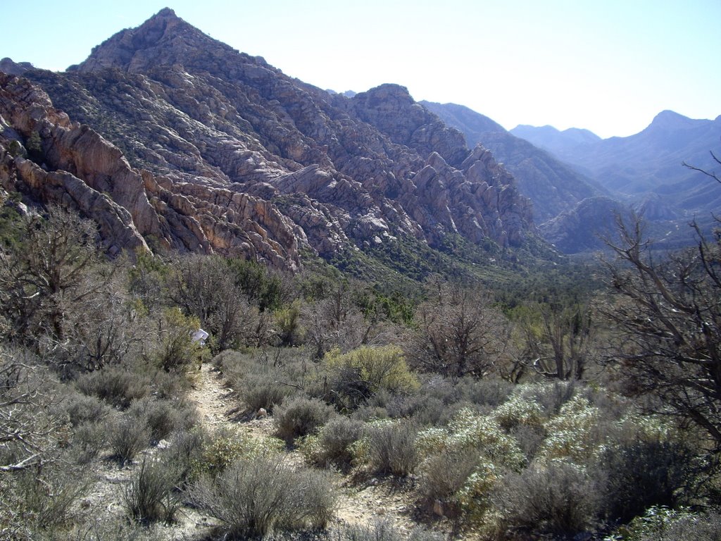 Looking sw along trail by beezaman