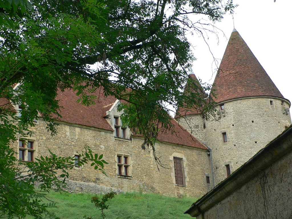 Arthel - le château by evelyne thirault