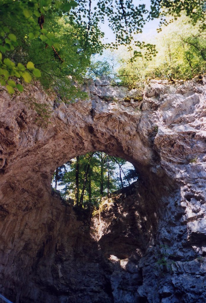 Rakov Škocjan, Slovenia by Gussicky