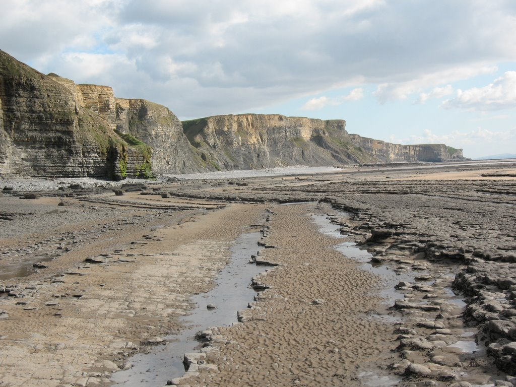 Rock pools & coral by Brian Scattergood