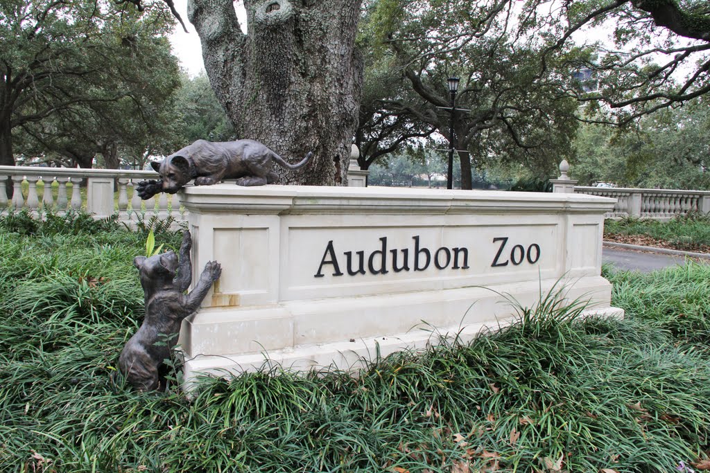 Audubon Zoo, New Orleans USA by Erica Chang