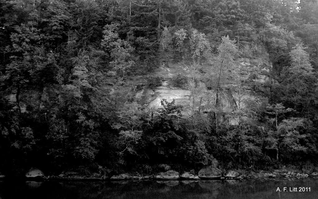 Sandy River near Troutdale, Oregon. September 4, 2011. by A. F. Litt