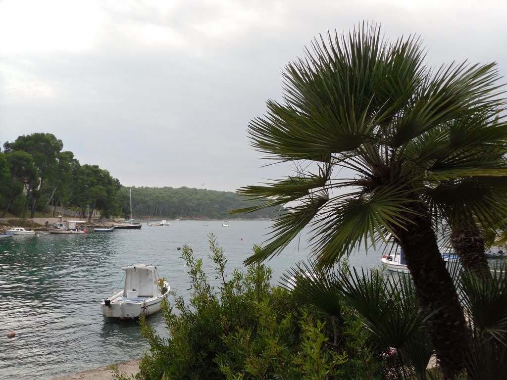 Mali Losinj- HR by gregor.h