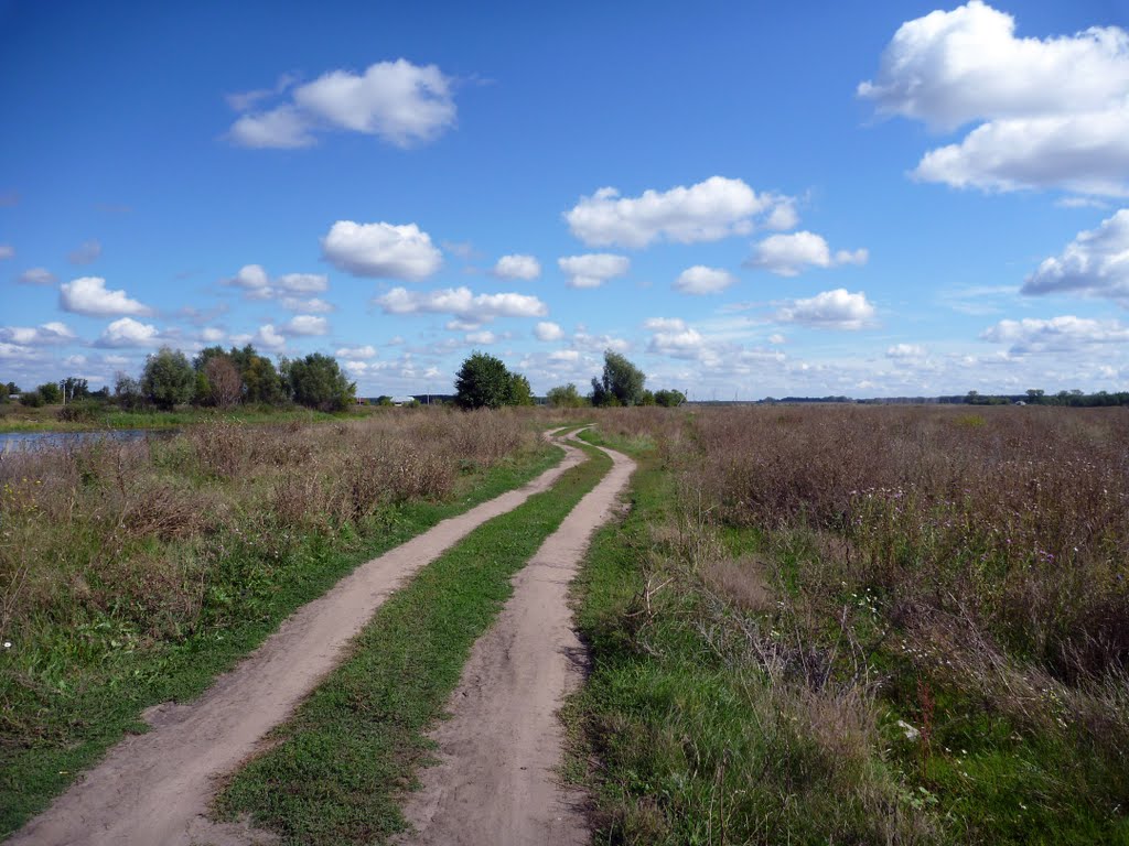 Эх, Российская дорога, семь загибов на версту... - Ah, the Russian road, seven bends a mile ... by Bala$how