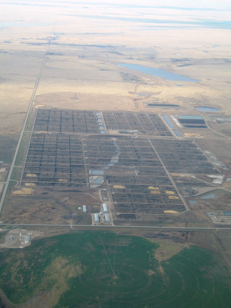 Aerial View Stockyards - Brooks by John McCall