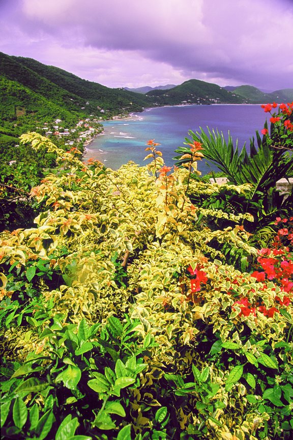 Tortola by Rob Boudreau