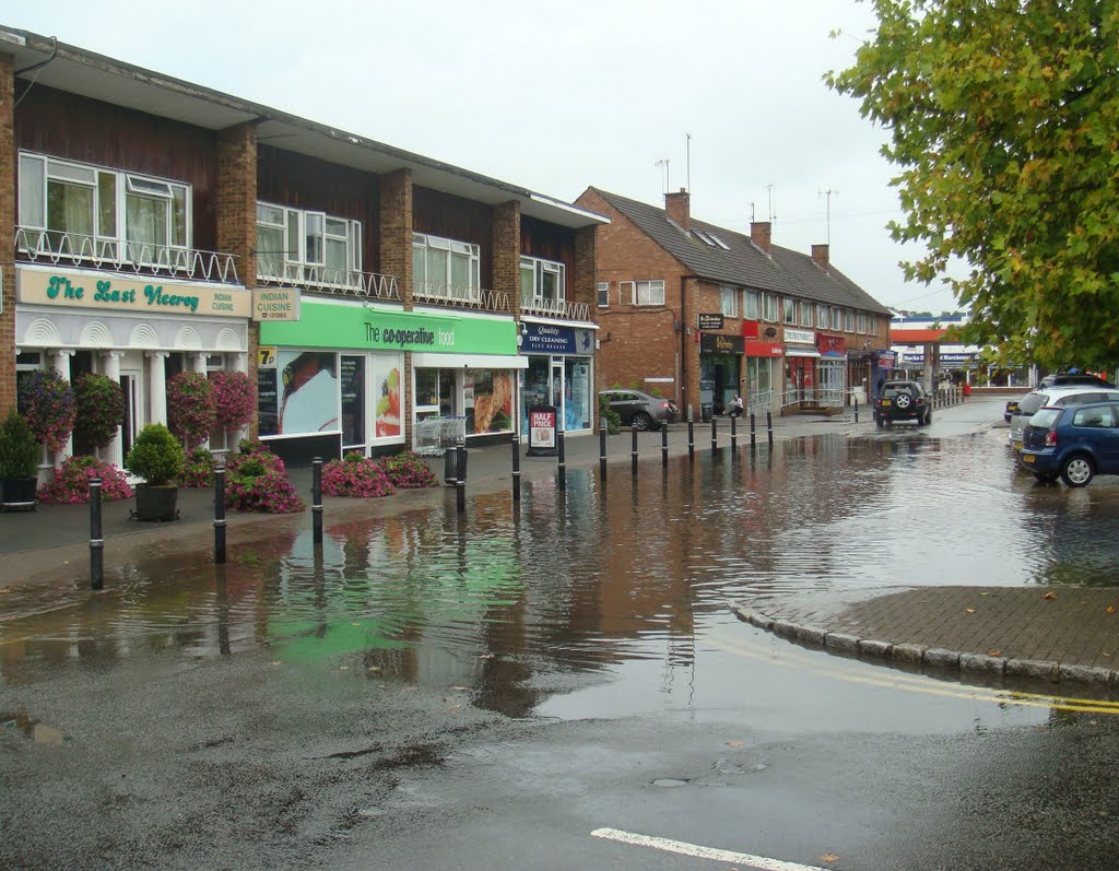 A summer shower and blocked drains by stieglitz