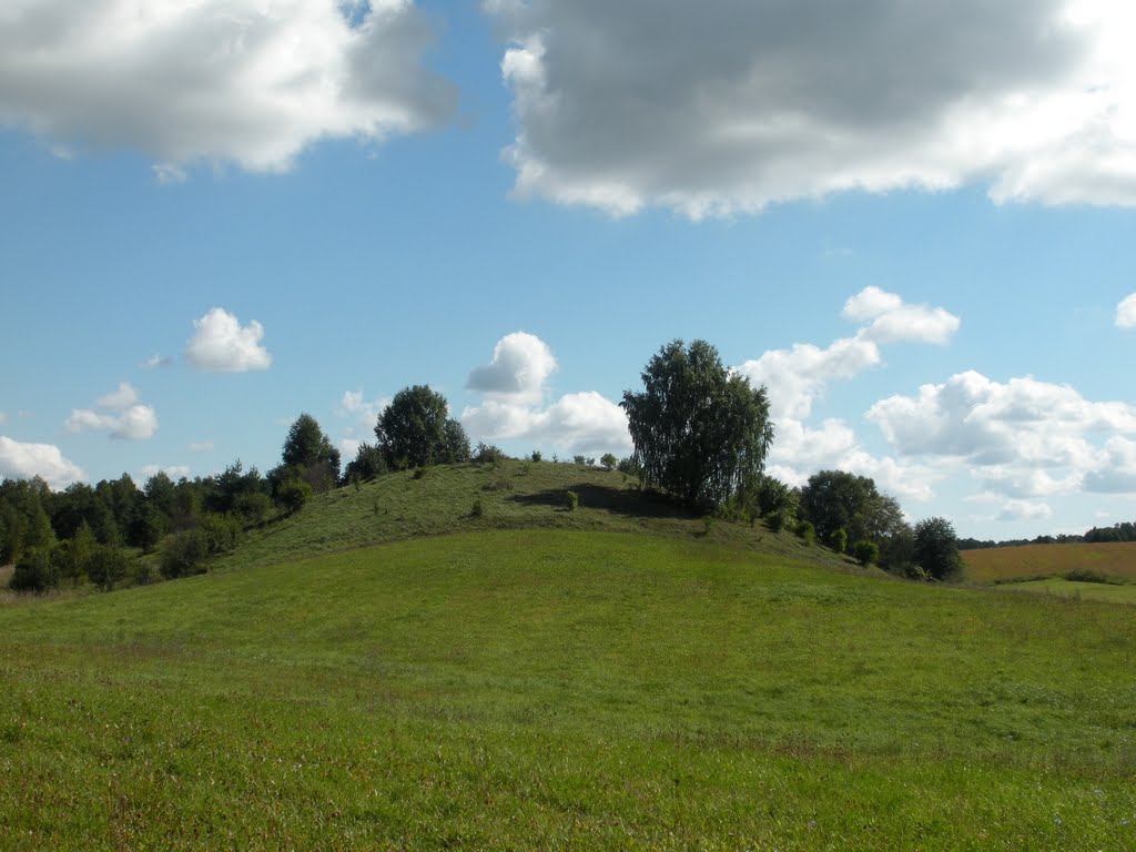 Paliūnų piliakalnis (Paliunai mound) by MrEko