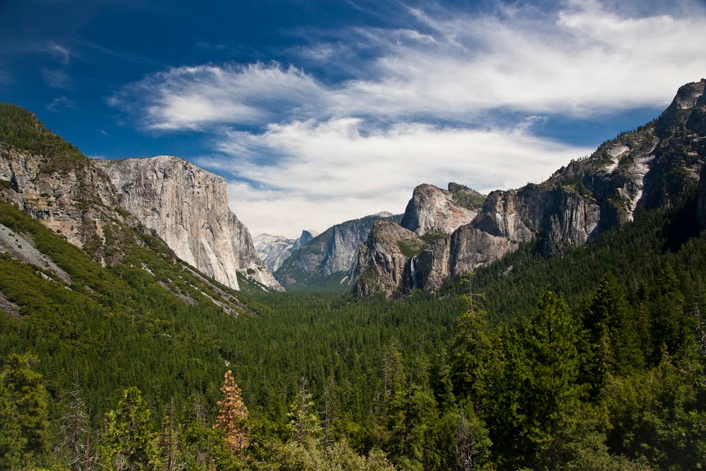 Yosemite National Park by Tadeusz Bacal