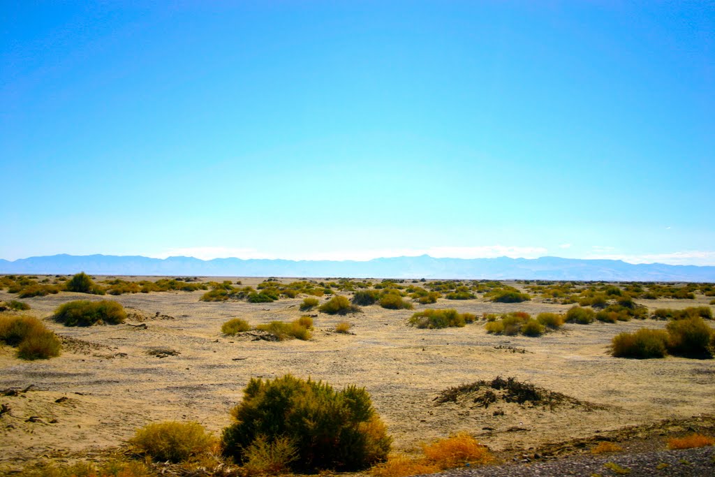 The Nevada Desert by MICHAEL  JIROCH  &  www.michaeljiroch.com