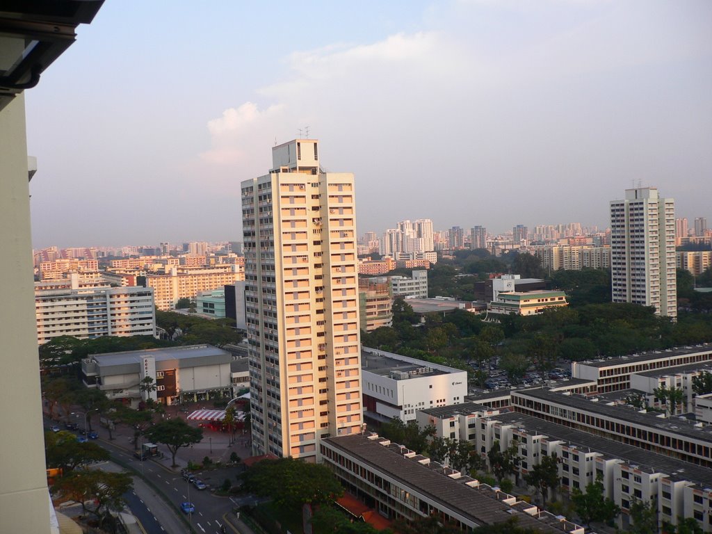 Toa Payoh Ctrl - Library view fr Blk 79C by eltonpang