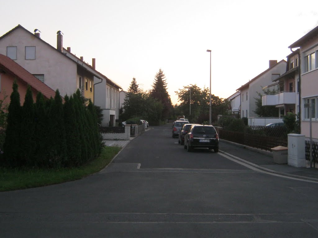 Adelsdorf Ringstraße by Frankenfans