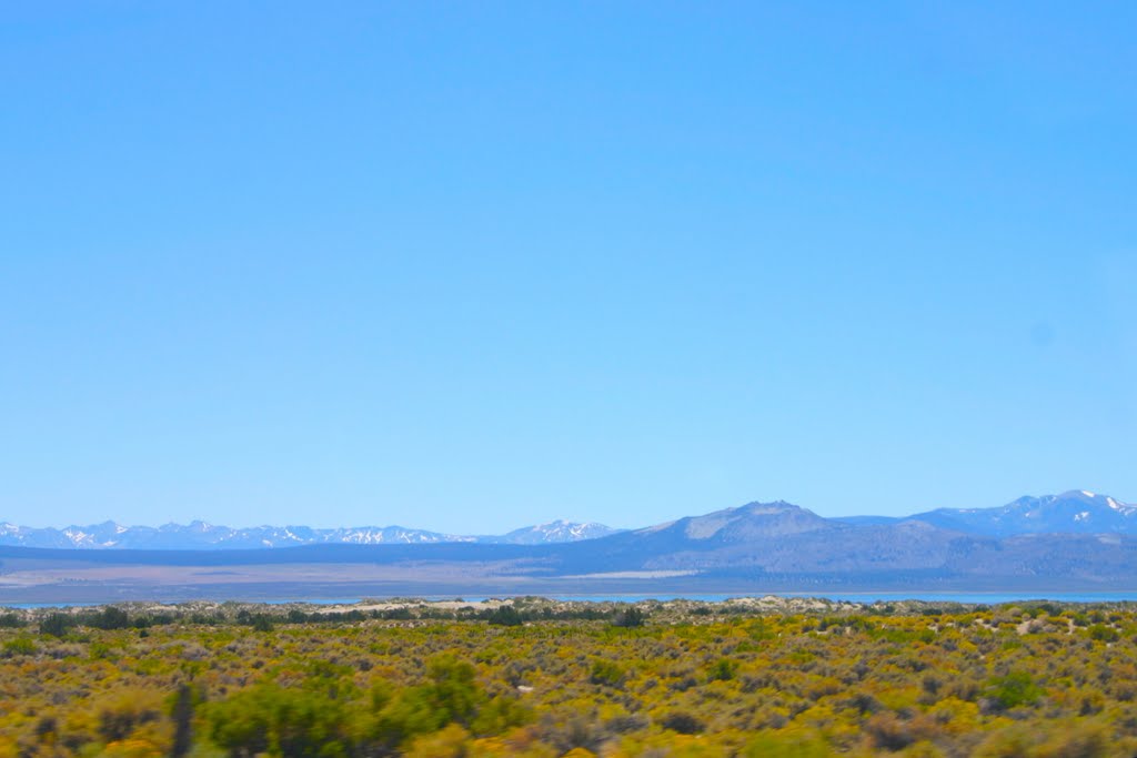 Near Mono Lake California by MICHAEL  JIROCH  &  www.michaeljiroch.com