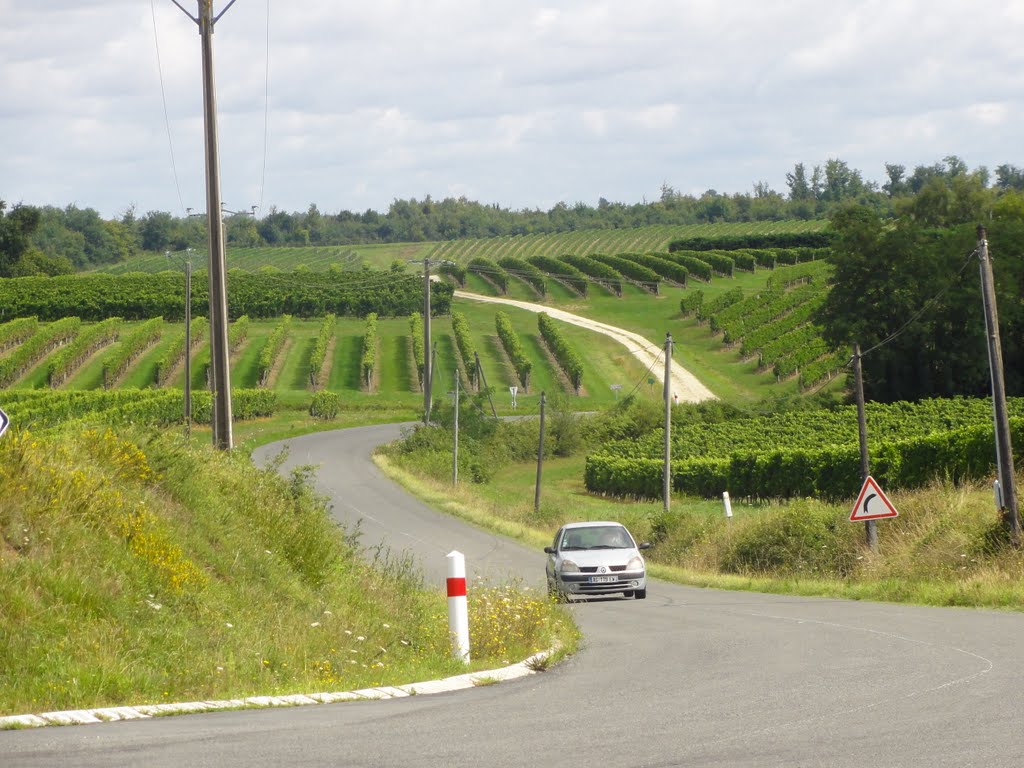 Dans les vignes des Graves by DESGAIN