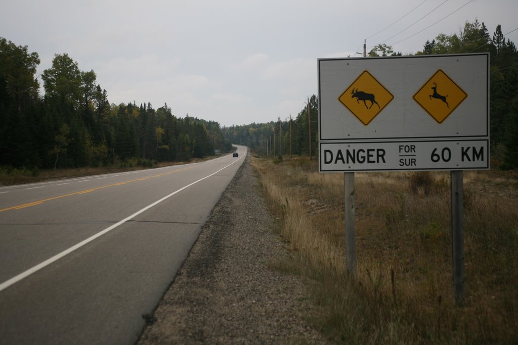 Algonquin Provincial Park, Ontario, Canada by Hans Sterkendries