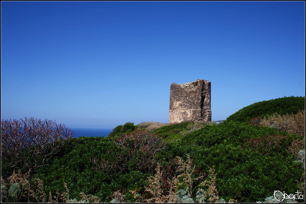 Attenti al lupo (di mare) by rOberto