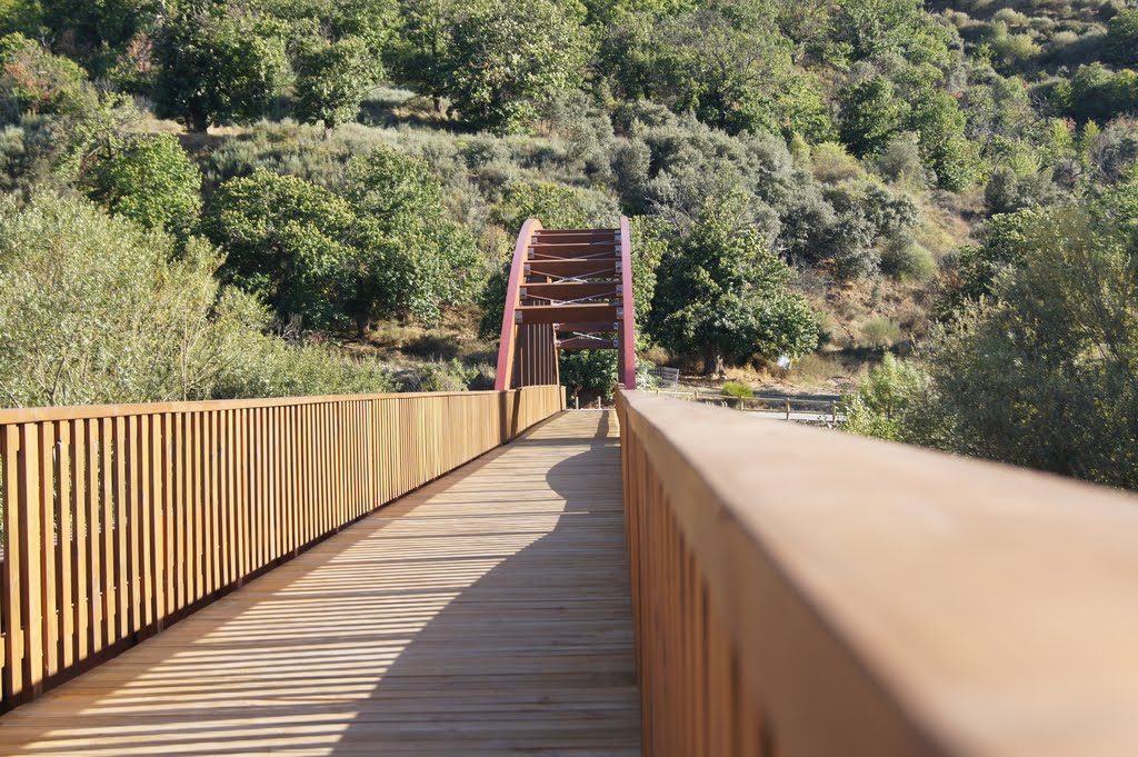 Por ejemplo, León tiene 12 pasarelas y todas cruzan los ríos de orilla a orilla. Aquí, un tramo innecesario de la pasarela está construido sobre la tierra de una orilla y el tramo necesario si sirve para cruzar el río. Inversión: 233.000 €. by Hikergoer