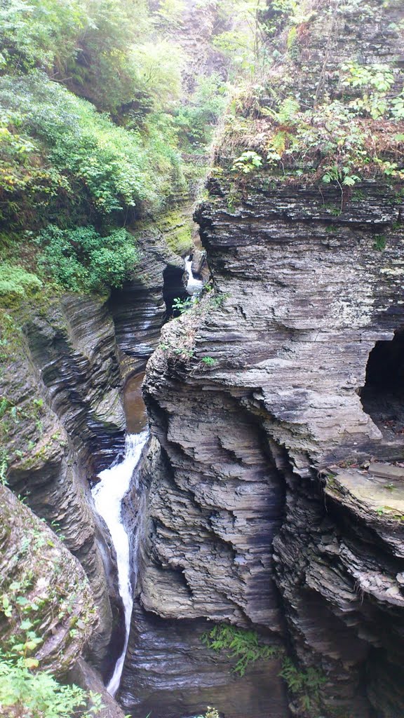 Watkins Glen by vakishin