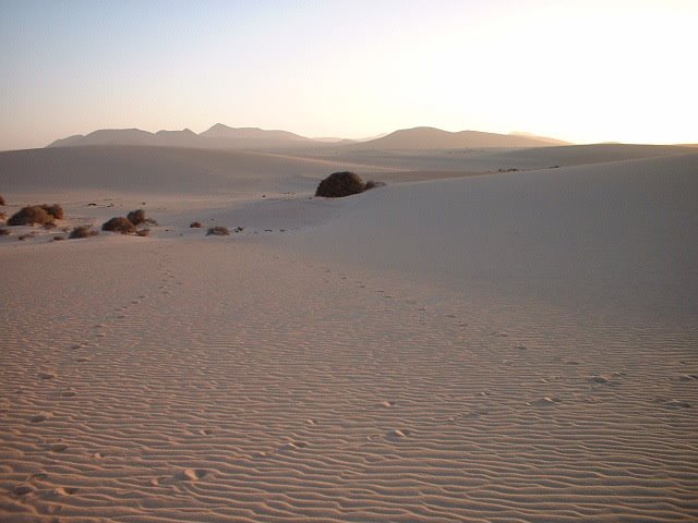 Corralejo1 by Miguel Angel Pérez G…