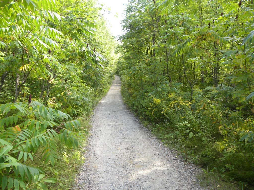 Parc de la Riviere Batiscan, Mauricie, Quebec by Naz Mustun