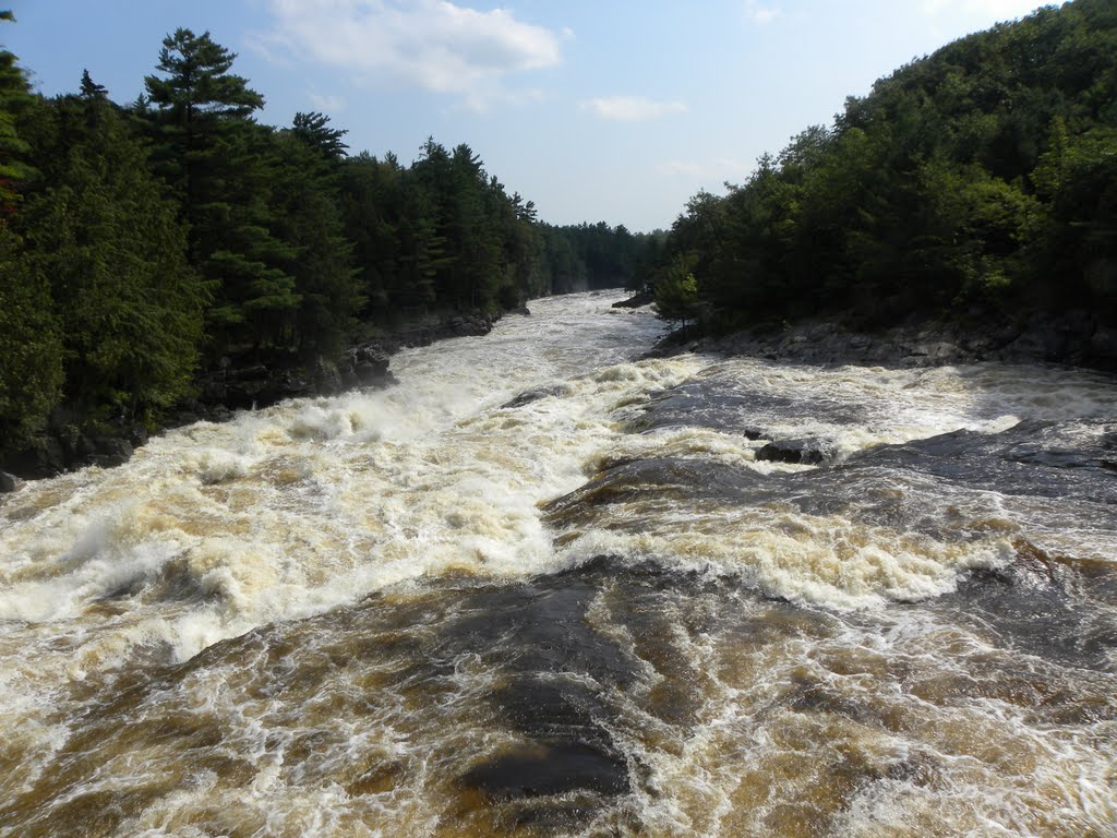 Parc de la Riviere Batiscan, Mauricie, Quebec by Naz Mustun