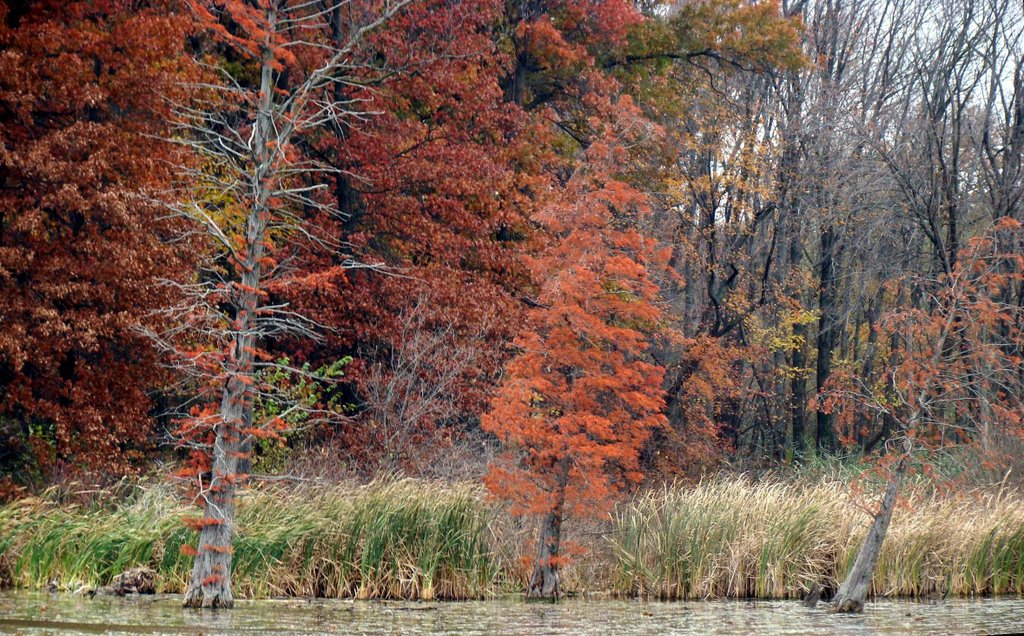 DSC05522p Long John Slough 11/11/07 - W view by Volkan YUKSEL