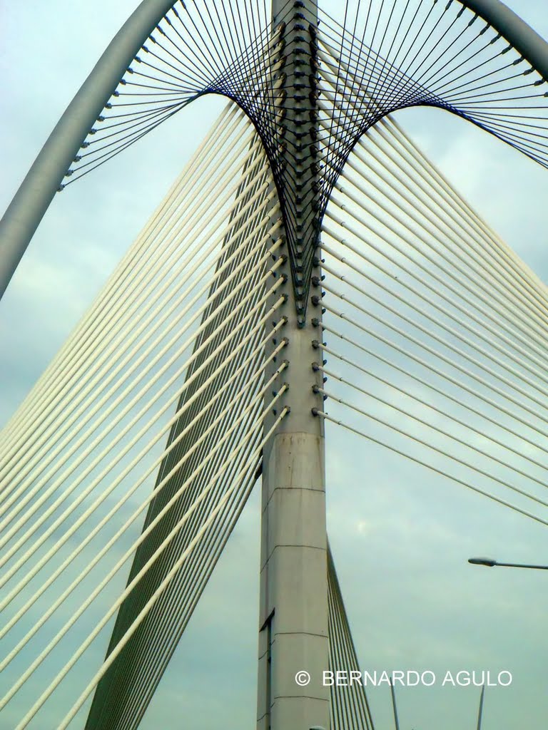 Lines and Curves, Seri Wawasan Bridge, Putrajaya, Malaysia by Silverhead