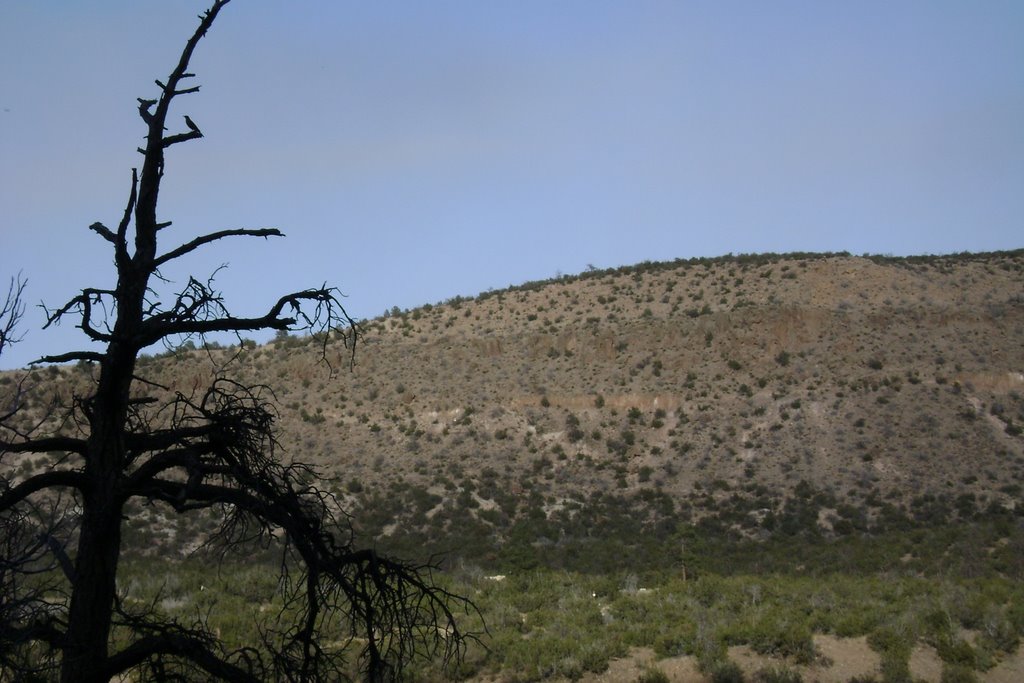 Sandoval County, NM, USA by CodyLangActor.com