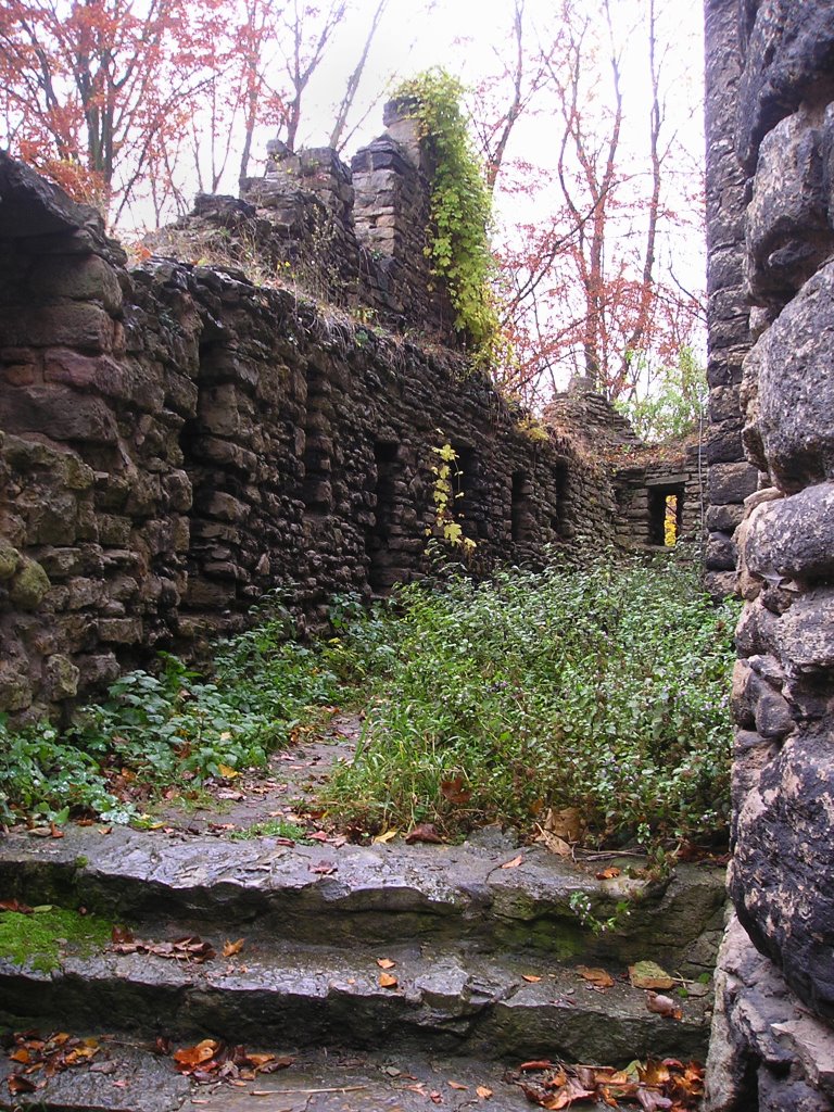 Burgruine Ehrenburg by Sabine aus Rostock