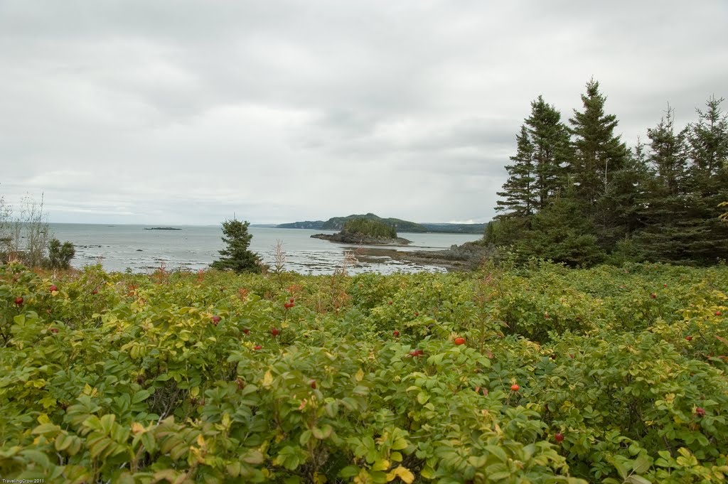 L'Anse (Bay) à l’Orignal, Parc National du Bic, Le Bic, Québec (Information on Page 1) by Traveling-Crow