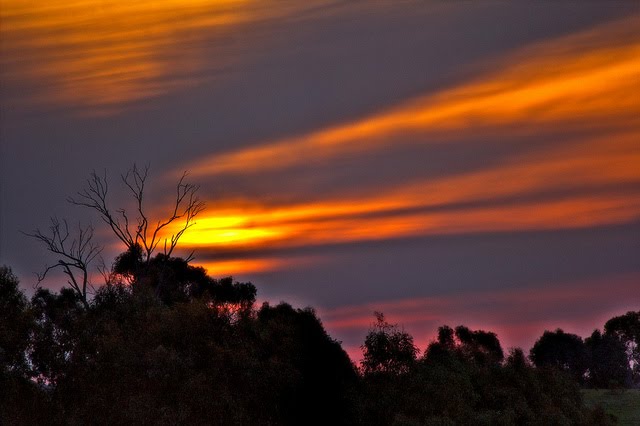 Sunset at Axedale Cottage by Tammi Faithfull