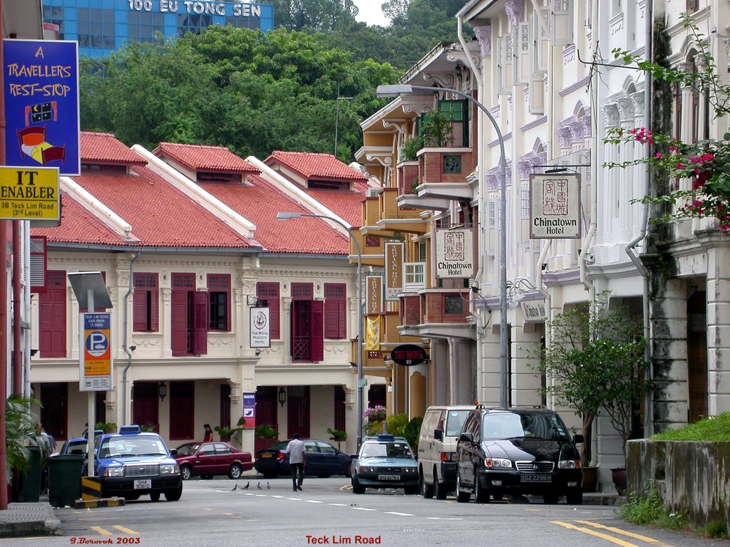 Royal Peacock Hotel from Teck Lim Road by Ilya Borovok