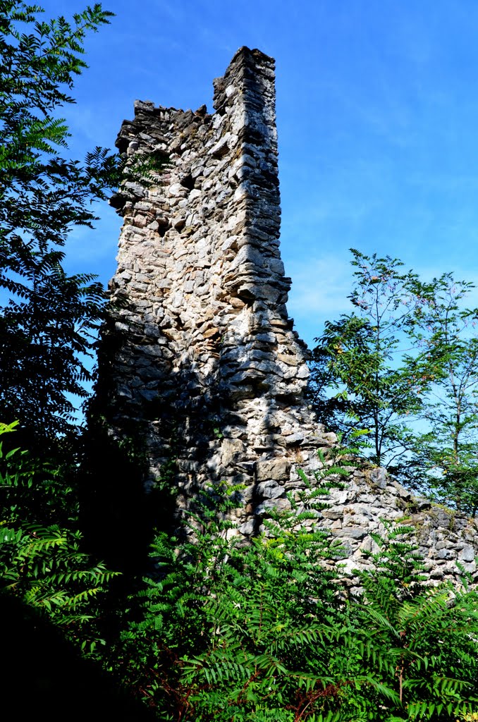 Le rovine del castello di Caraglio (see comment) by violapinnata