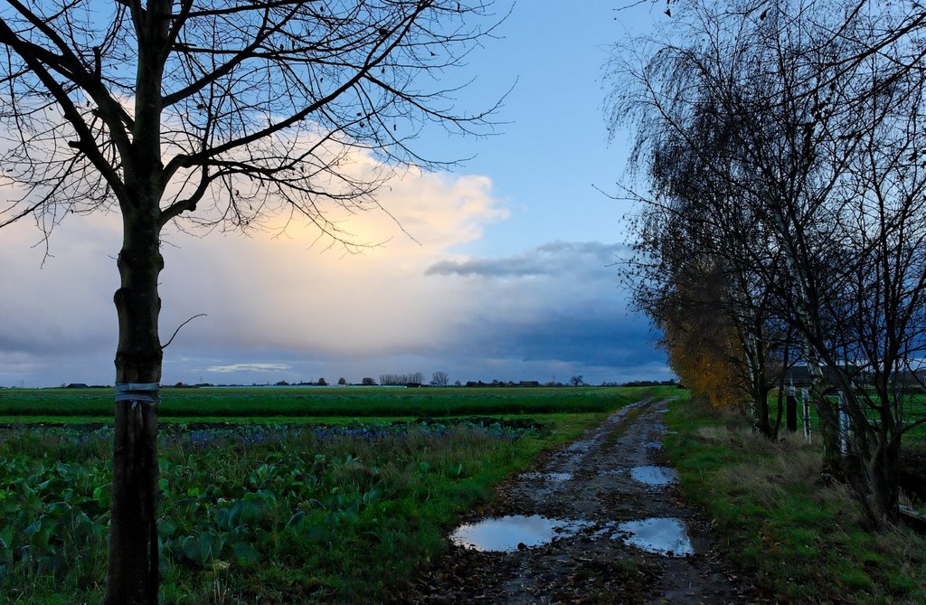 Nikolausweg Blickrichtung Süd (nach einem starken Regenschauer) by Guenni (wallsound)