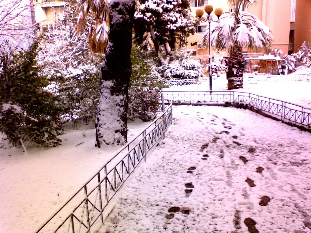 SNOW WALK IN THE PARK 2008 ATHENS by GEORGE ACHOLOS