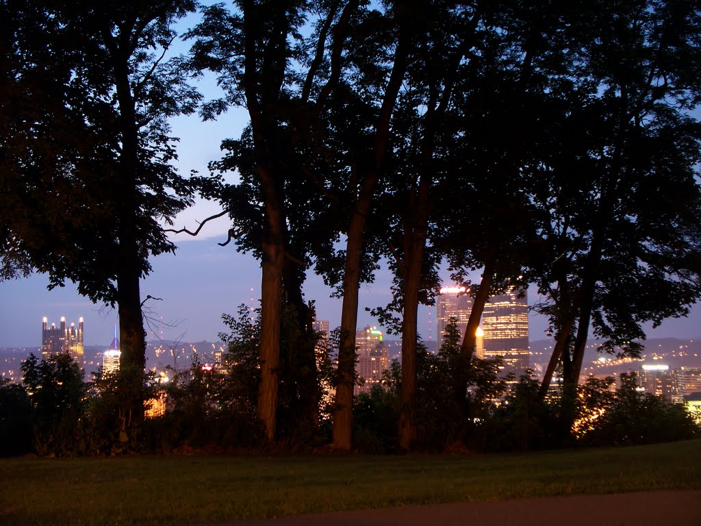 Trees behind Pittsburgh by rcmori