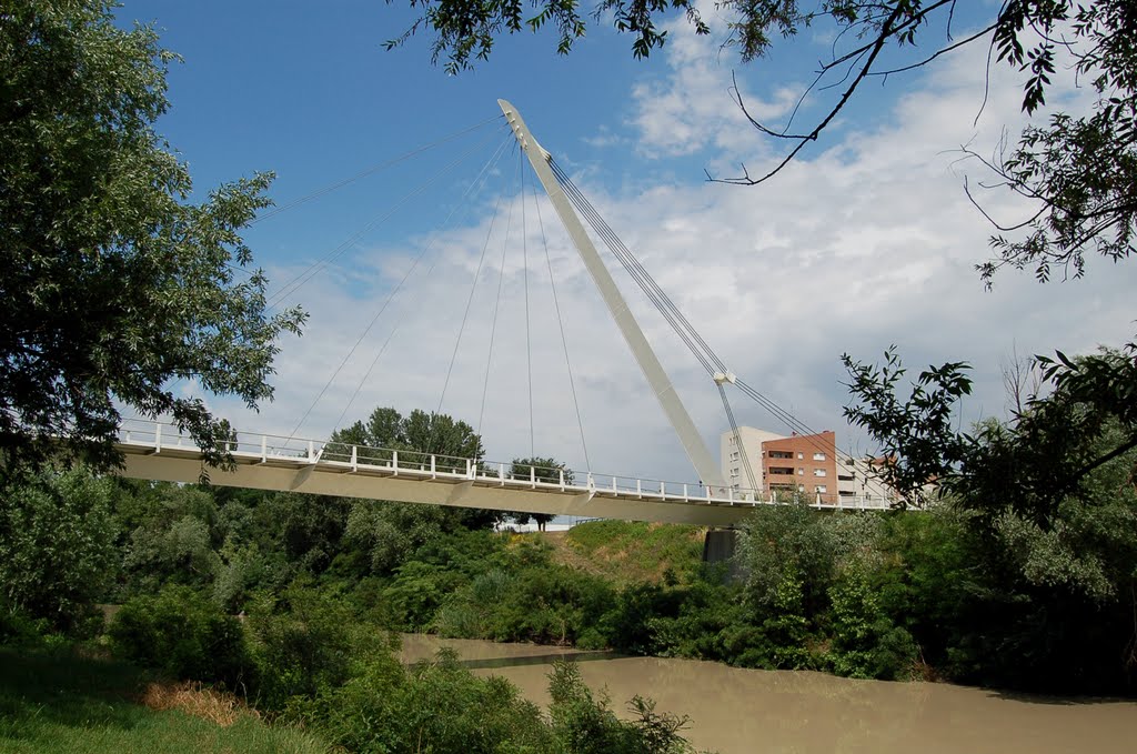 Casalecchio de Reno footbridge by bridgink