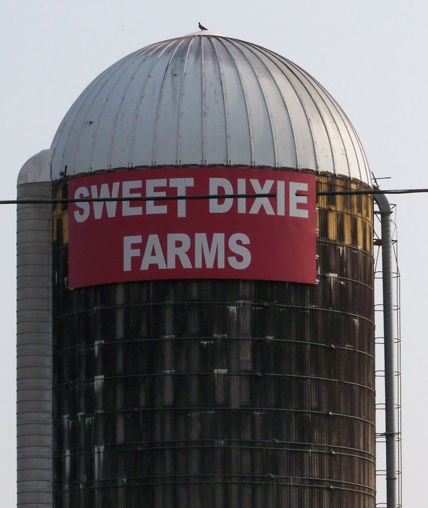 Dixie Farms outside Fayetteville, Tennessee. by buscohall