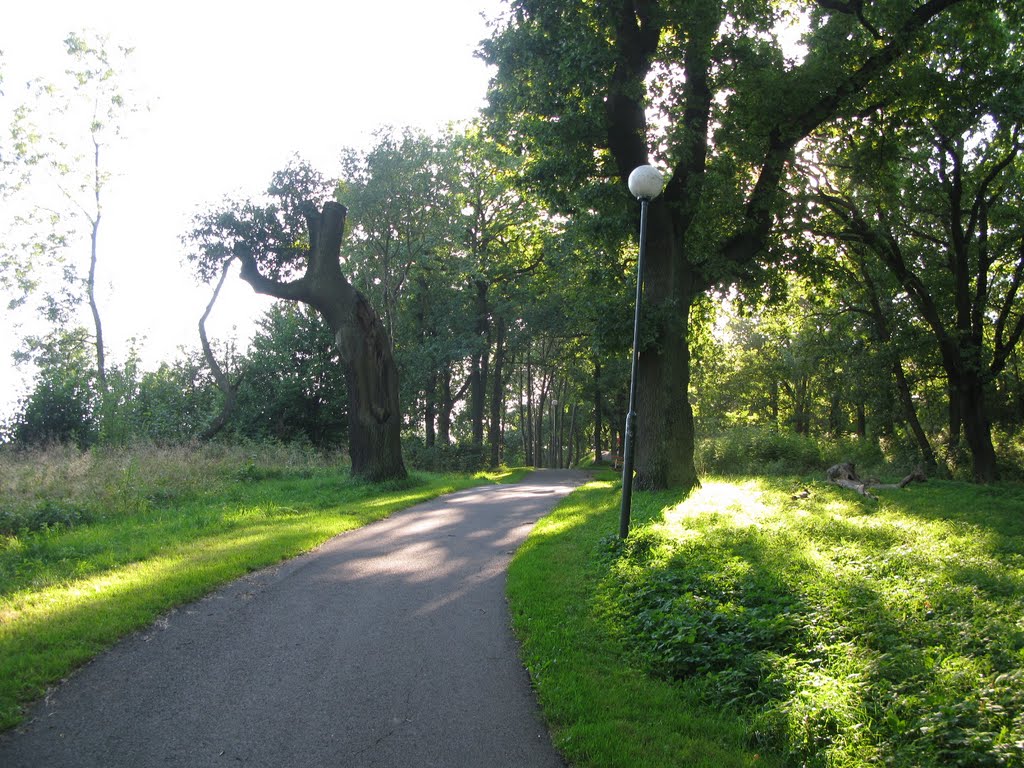 Krokängsparken, Göteborg 2011 by Biketommy