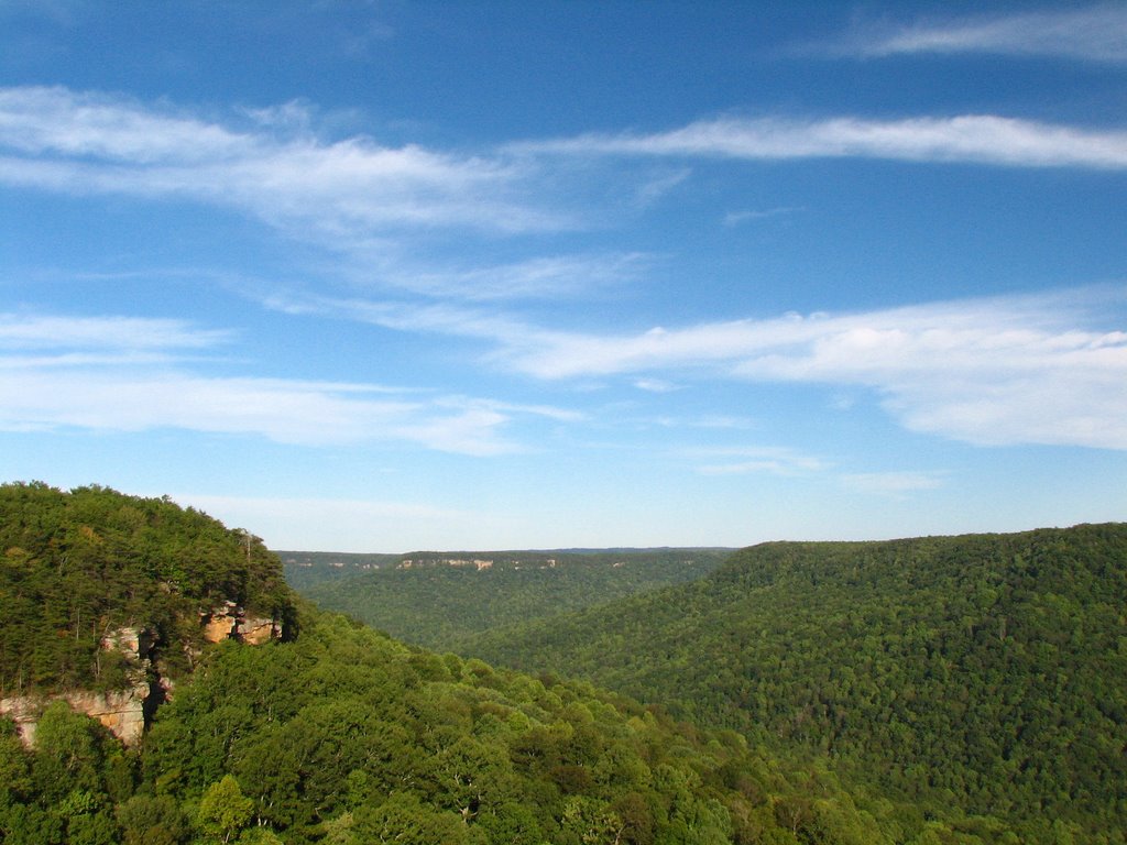 Savage Gulf from Stone Door by Michael Riviere