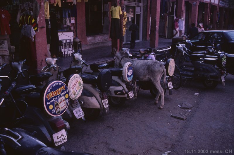 (messi02) Jaipur - correctly parked in by ©polytropos