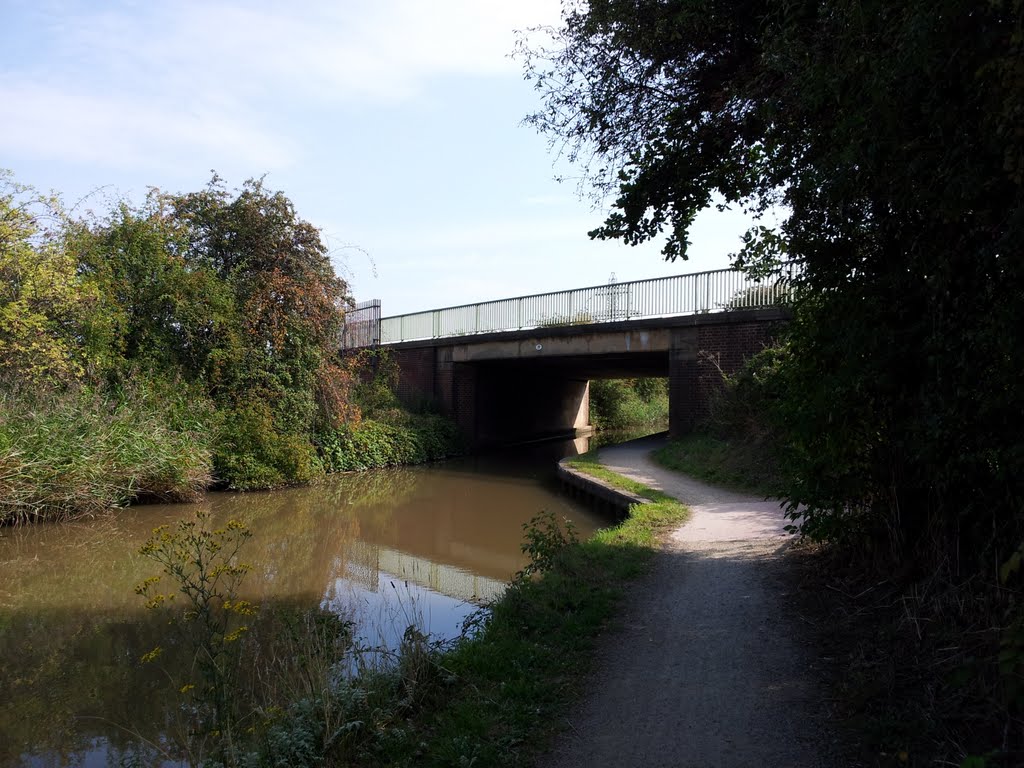 Bridge 19 Worcester Birmingham Canal by quercusia